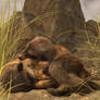 Katnapping
