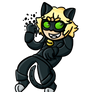 Chat Noir - Miraculous Ladybug