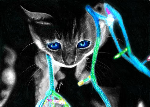 Neon Cat