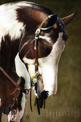 American Paint Horse Portrait