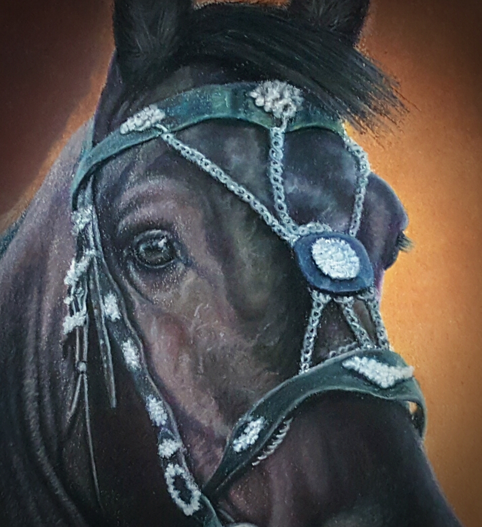 Horse Eye - Pastel Portrait Painting