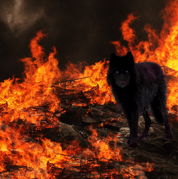 Fire Wolf