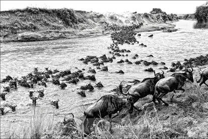 Mara Crossing