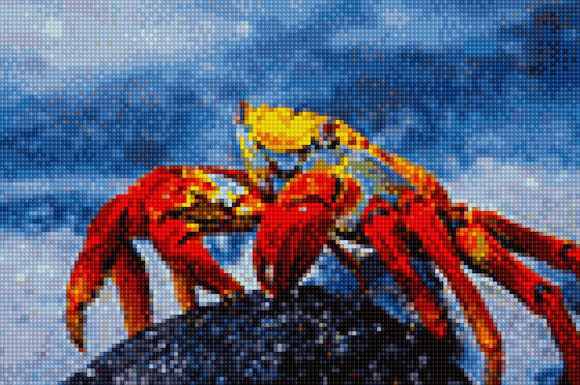 Cross Stitch #50