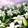 i love white lilies you like?