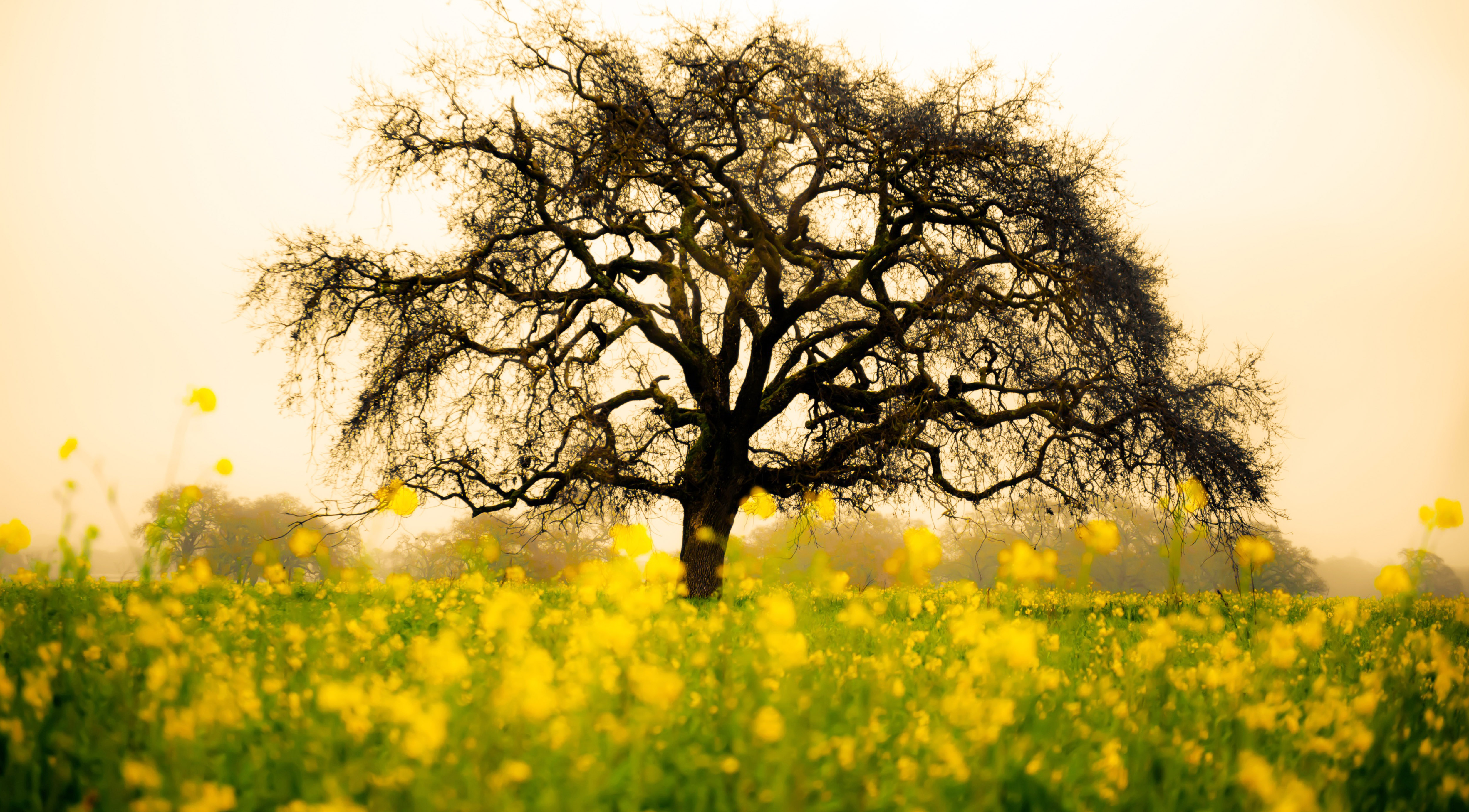 Morning View Wallpaper You must like by sheroshah on DeviantArt Morning View Wallpaper You must like by sheroshah on DeviantArt