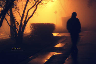 man in the fog2