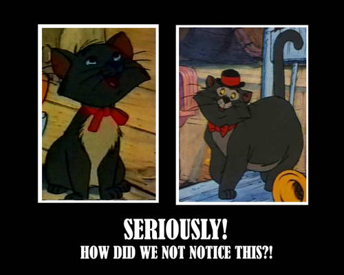 Aristocats genetics fail