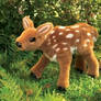 fawn (toy)