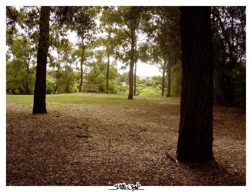 Park in Autumn