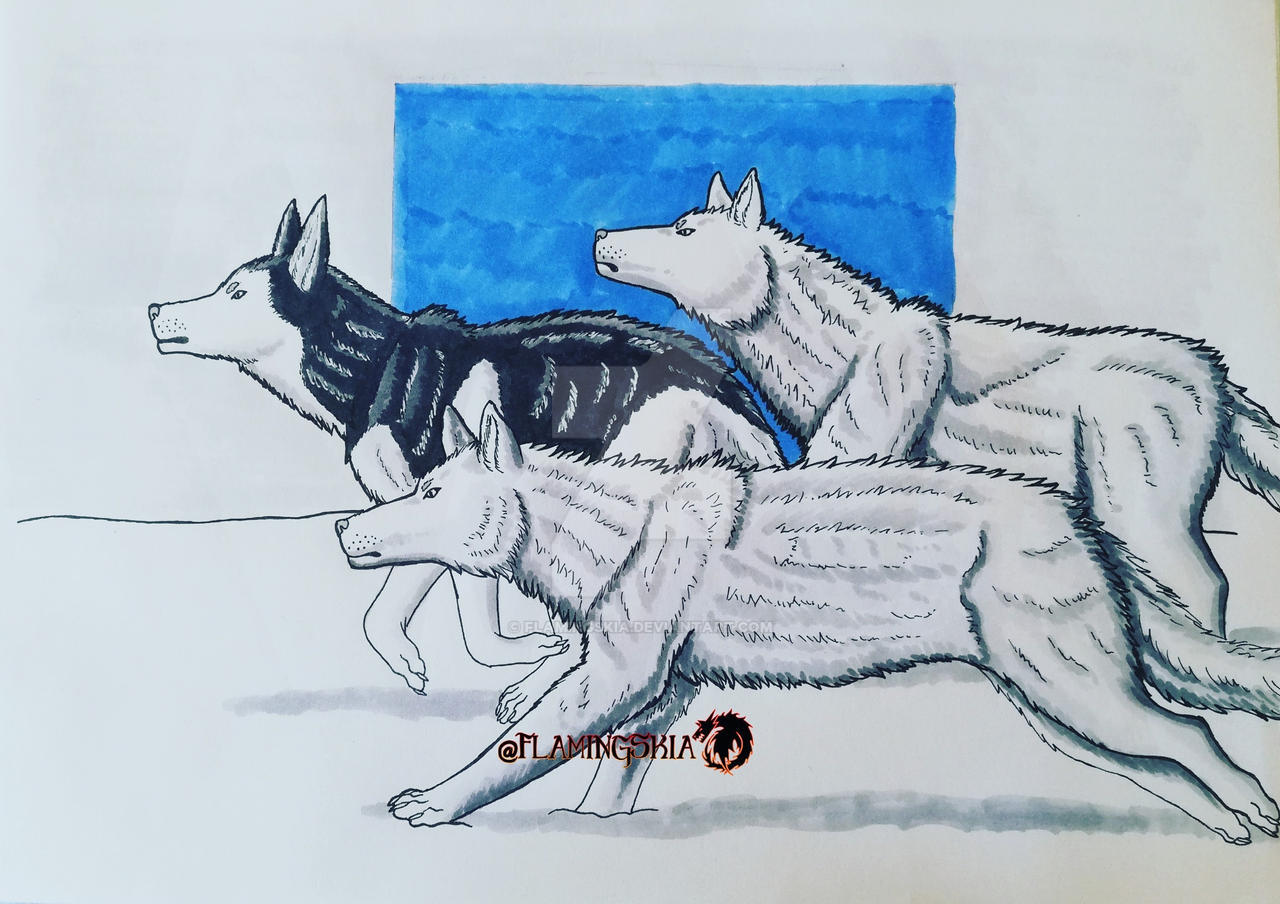 Husky Deviantart Inktober day 6 - Husky by FlamingSkia on DeviantArt
