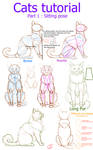 Cats tutorial - part 1 : Sitting position by Ctougas01