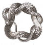 coiling snake