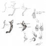 how to draw dragons: front leg