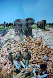 Save the elephants: kill the ivory traders 2