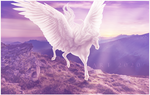 the wings of a dove by littlewillow-art the wings of a dove by littlewillow-art