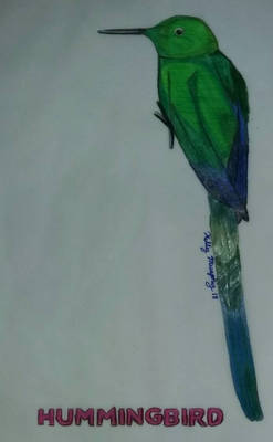 Hummingbird drawing 