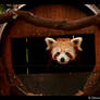 Red Panda: Peek-a-boo