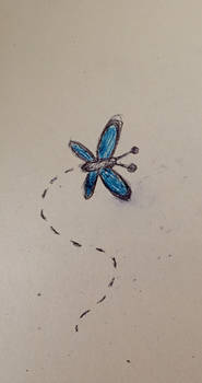 Blue Butterfly