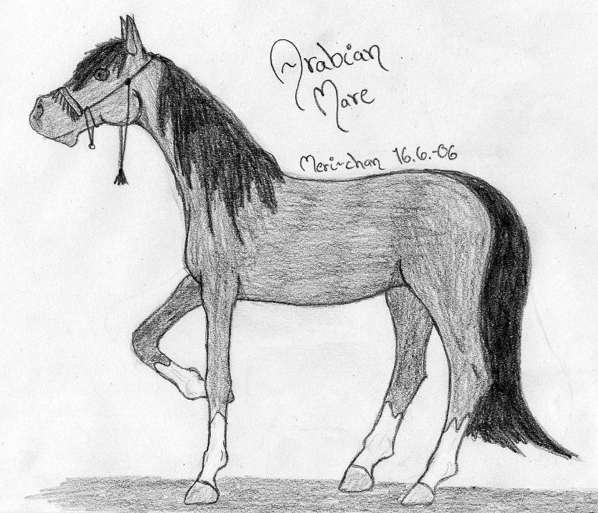 Arabian mare by Yuugata on DeviantArt