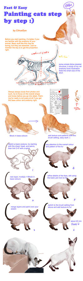 Painting cats tutorial