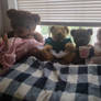 Bears and Mom's doll