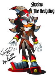 Shadow the Hedgehog Cosium Style