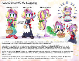 ELIZA The Hedgehog's NEW DESIGN