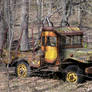 Power Wagon in the Woods