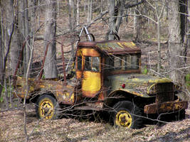 Power Wagon in the Woods