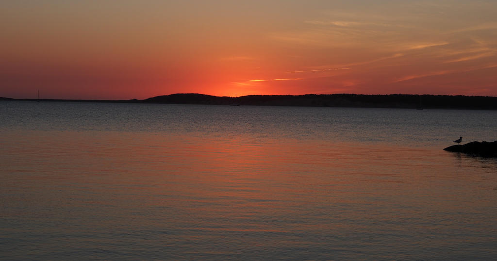 Wellfleet Sunset