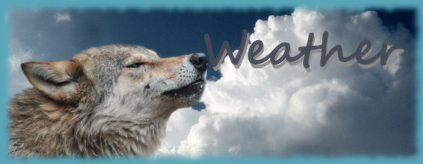 Weather Sig by horseg27