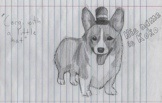 Corgi with a Little Hat