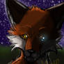 ~:Eyes of The Watcher:~