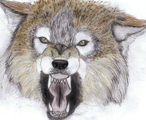 Angry Wolfie