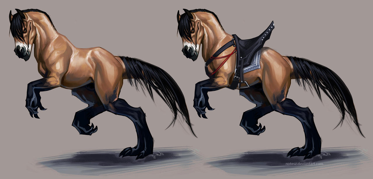 buckskin+saddle_