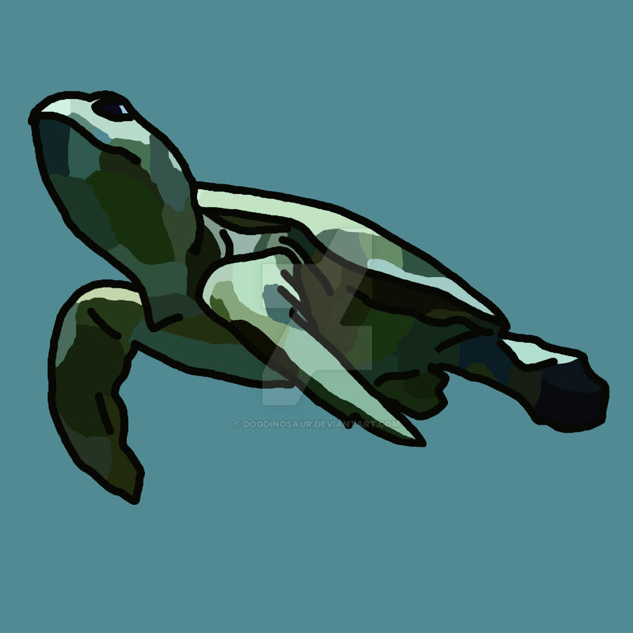 loggerhead by dogdinosaur on DeviantArt