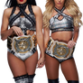 THE IICONICS WWE WOMEN'S TAG TEAM CHAMPIONS FULL