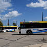 Kenosha Area Transit Gillig Buses