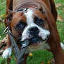 Tug of war