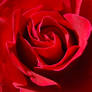 Red is for love