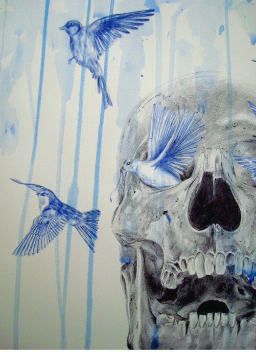 skull and birds 7