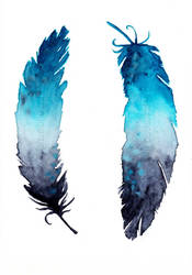 Feathers