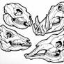 Animal Skulls Line Art