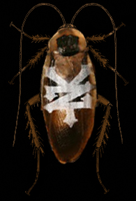 Zoo York Cockroach Logo