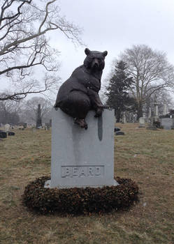 Bear in Snow