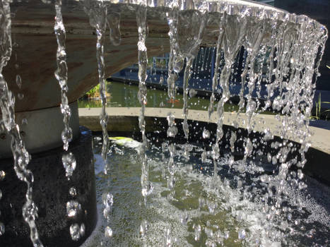 Splashing Fountain - Greenwood Tranquility Garden
