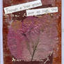 ATC: Bark and Flower