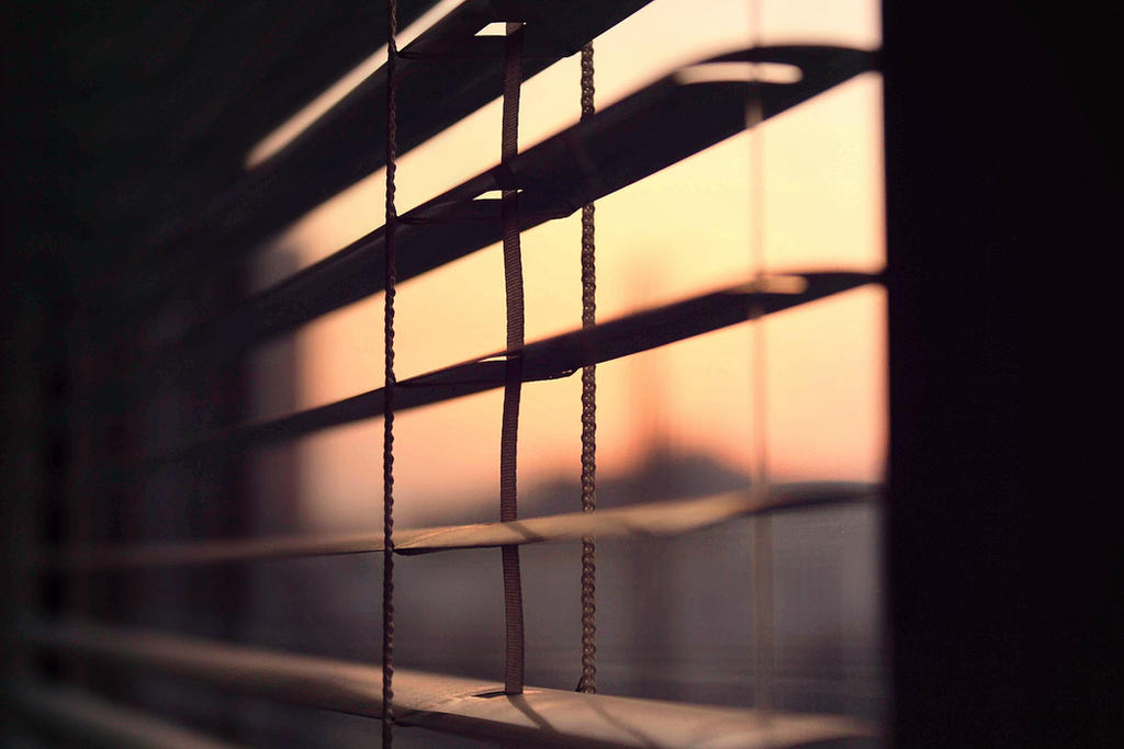 Pure Morning by FredyHannover