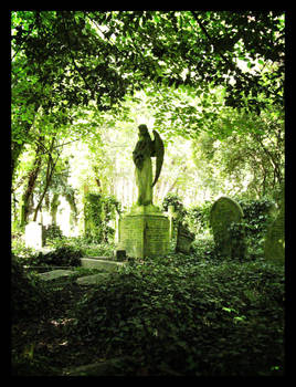 Highgate cemetary IX